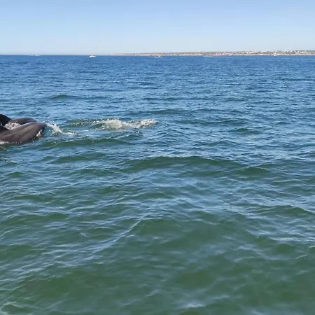 Luxury In Complex With Ocean And Marina View By Be Cherish Lejlighed *