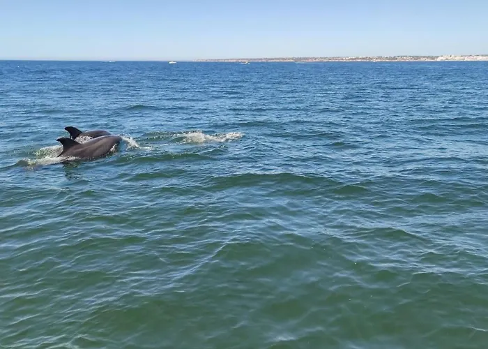 Luxury In Complex With Ocean And Marina View By Be Cherish Apartment *